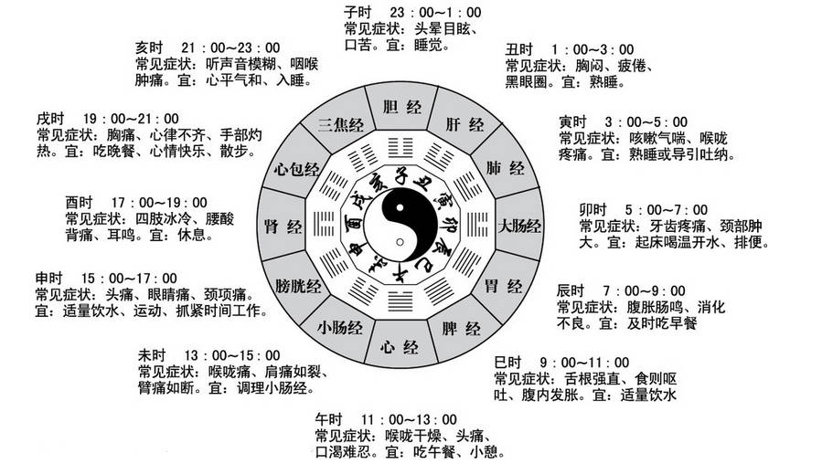 十二时辰养生对照表