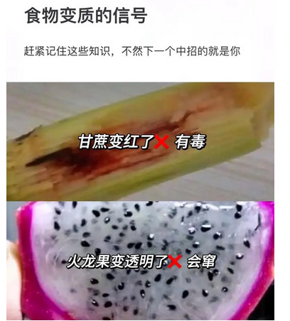 如何辨别食物是否变质？有哪些明显迹象？