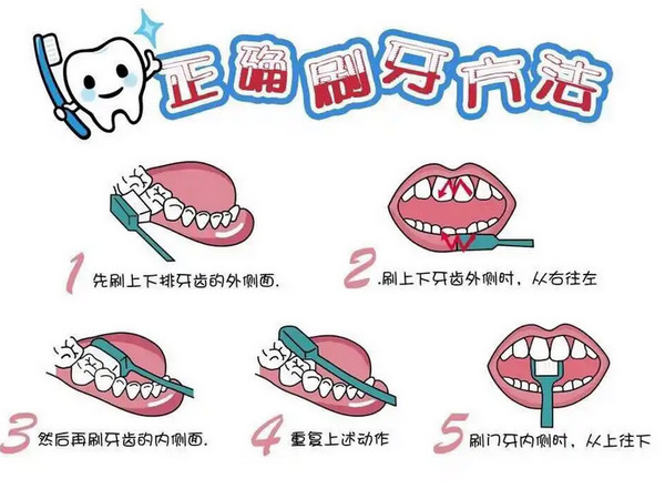 早晚刷牙哪个更重要？如何做到彻底清洁？